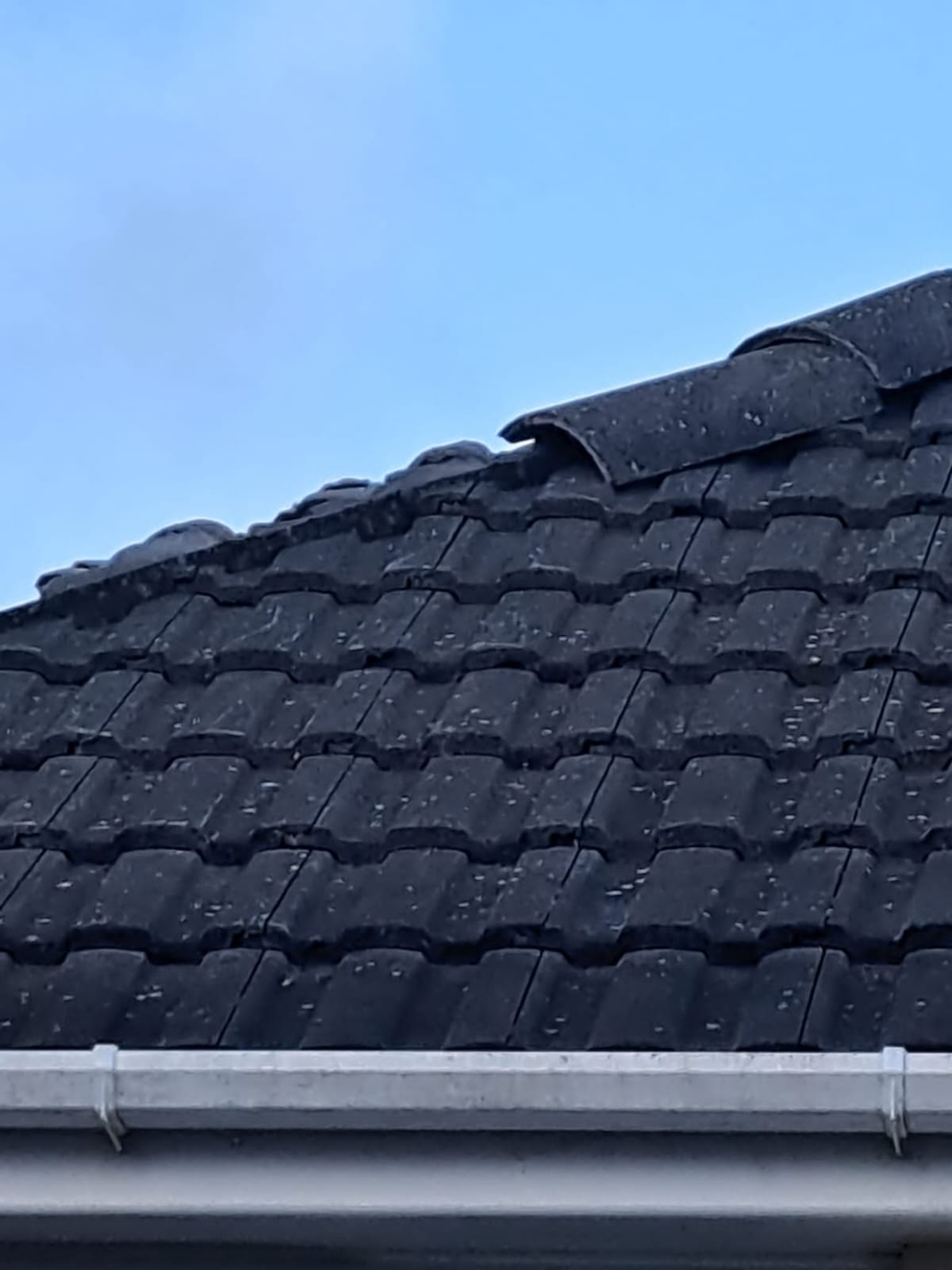 Ridge Tile Re-bed & Repoint — roofing work in Dorset