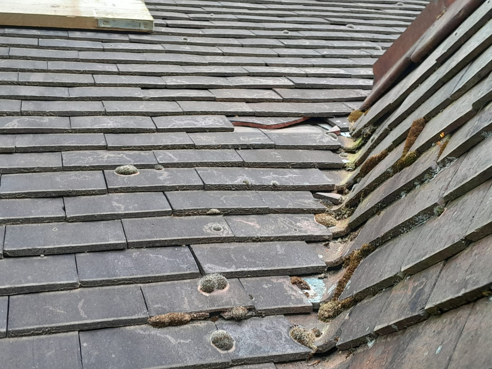 Slate Repair & Valley Renewal — Dorset
