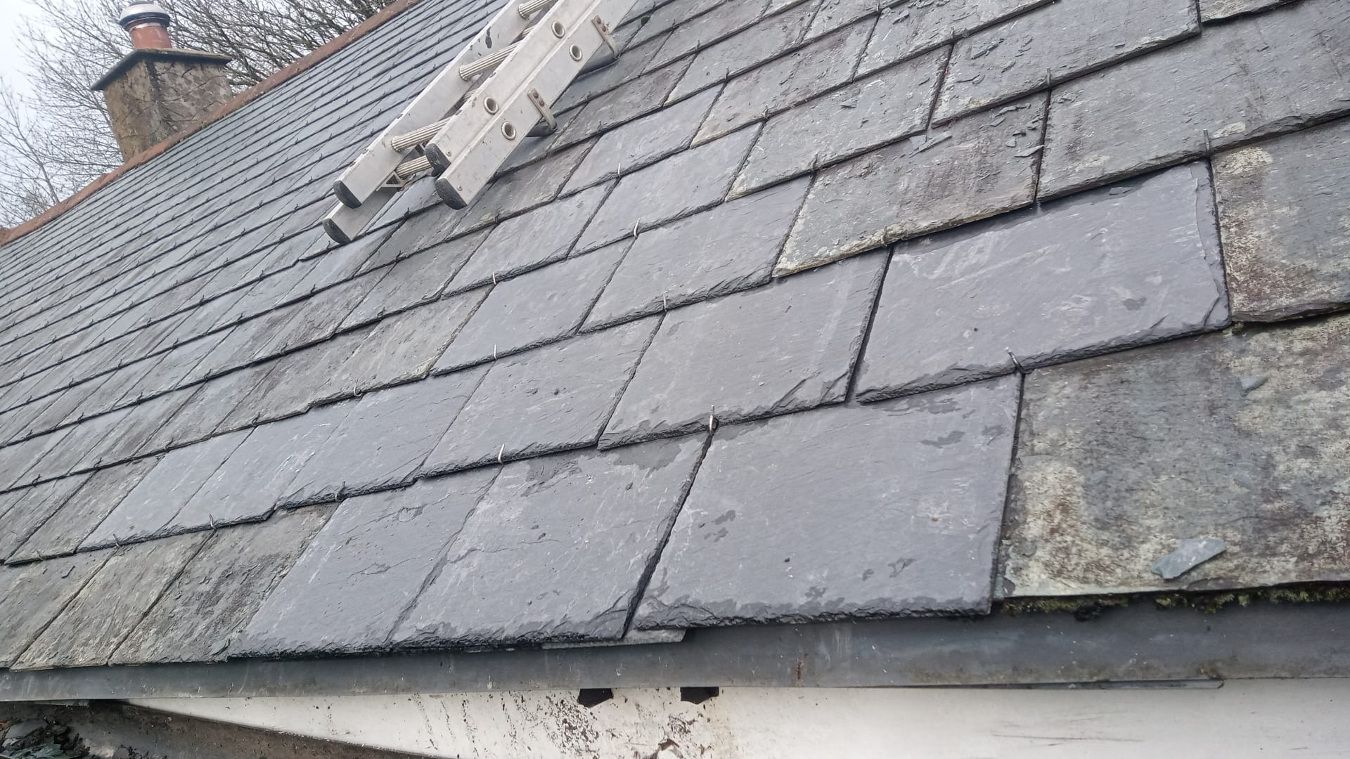 Roof Repairs in Poole, Dorset — Fast, reliable repairs for leaks, slipped or broken tiles and storm damage.
