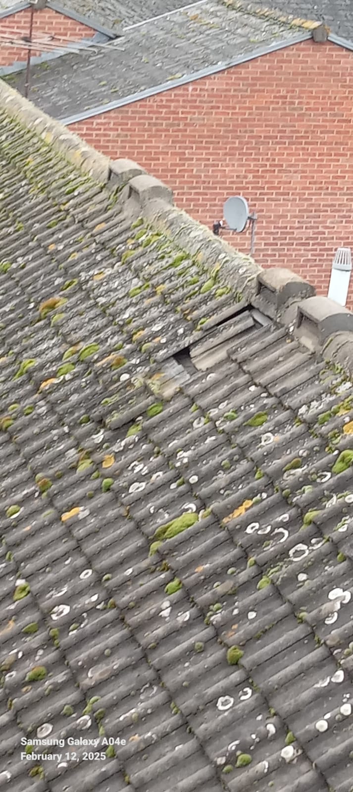 Moss Removal & Roof Clean — Dorset